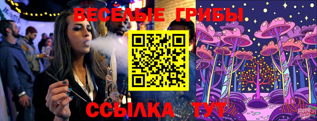 Псилоцибиновые грибы Cubensis Александров